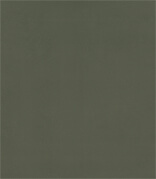 גוון פיסטוק